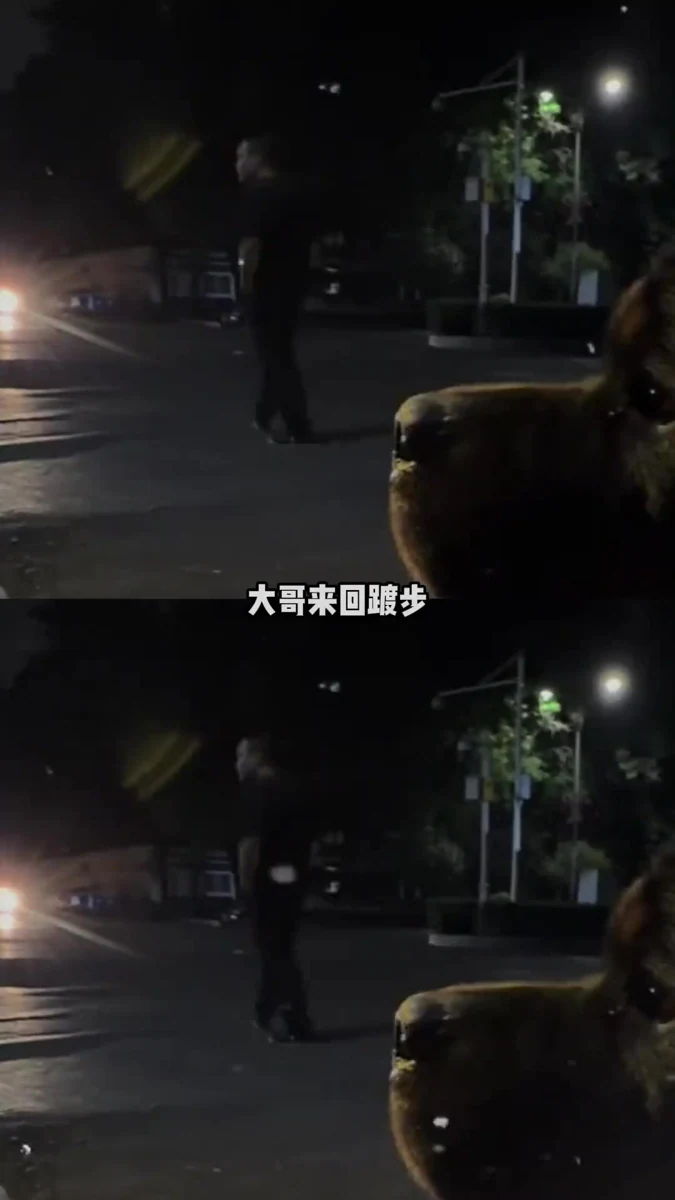 大哥最终战胜了恐惧，施舍了几个钢镚#溜狗 #搞笑视频封面