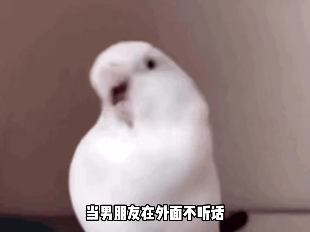 就这样直勾勾盯着 #情侣 #男朋友 #不听话 #内容过于真实视频封面