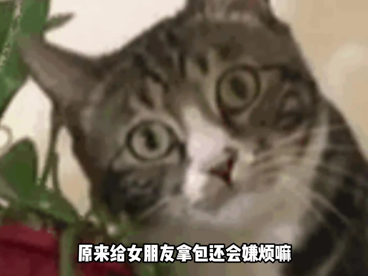 原来给女朋友拿包还会嫌烦嘛 #情侣 #给女朋友拿包 #抽象视频封面