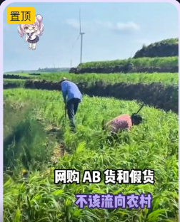 AB 货和假货，不该流向农村#社会百态  #农村 #假货#消费者权益 #农民视频封面